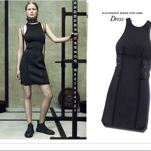 Alexander wang x hm dress
